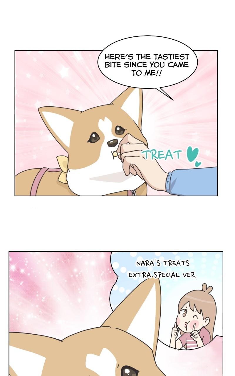The Dog Diaries Chap 97 - Next Chap 98
