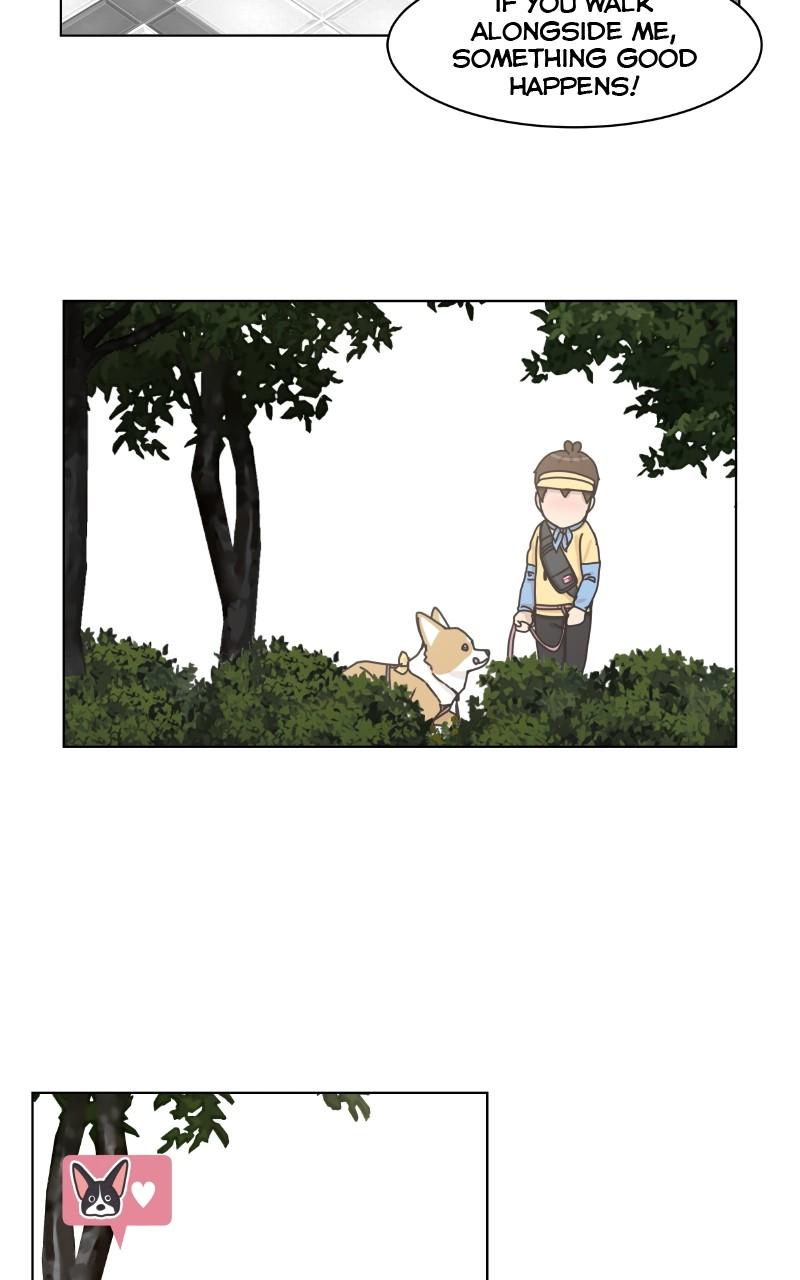 The Dog Diaries Chap 97 - Next Chap 98