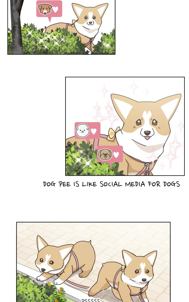 The Dog Diaries Chap 97 - Next Chap 98