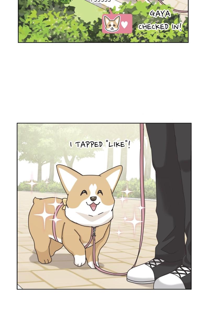 The Dog Diaries Chap 97 - Next Chap 98