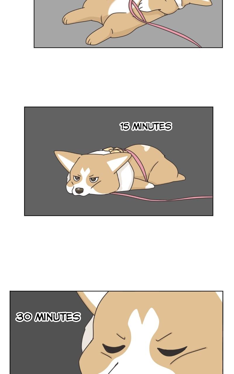 The Dog Diaries Chap 97 - Next Chap 98