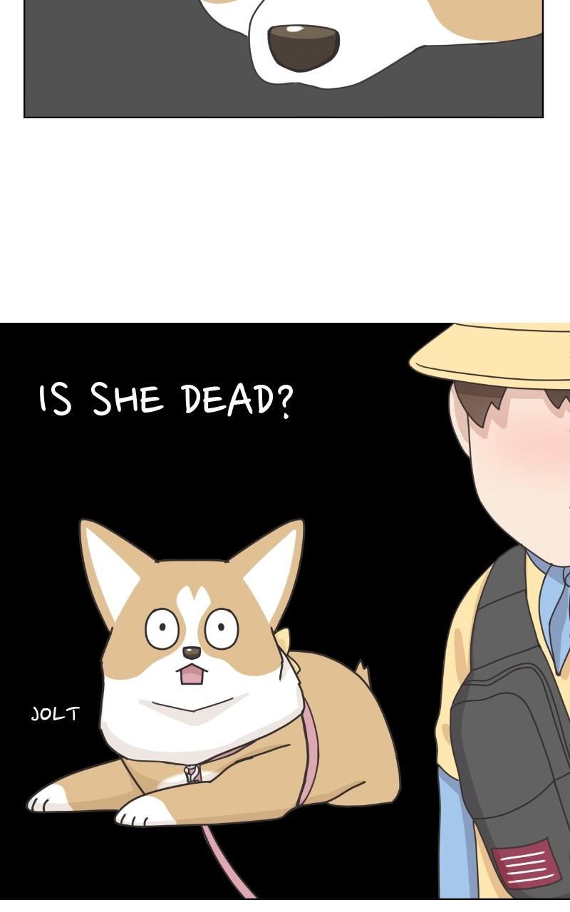 The Dog Diaries Chap 97 - Next Chap 98