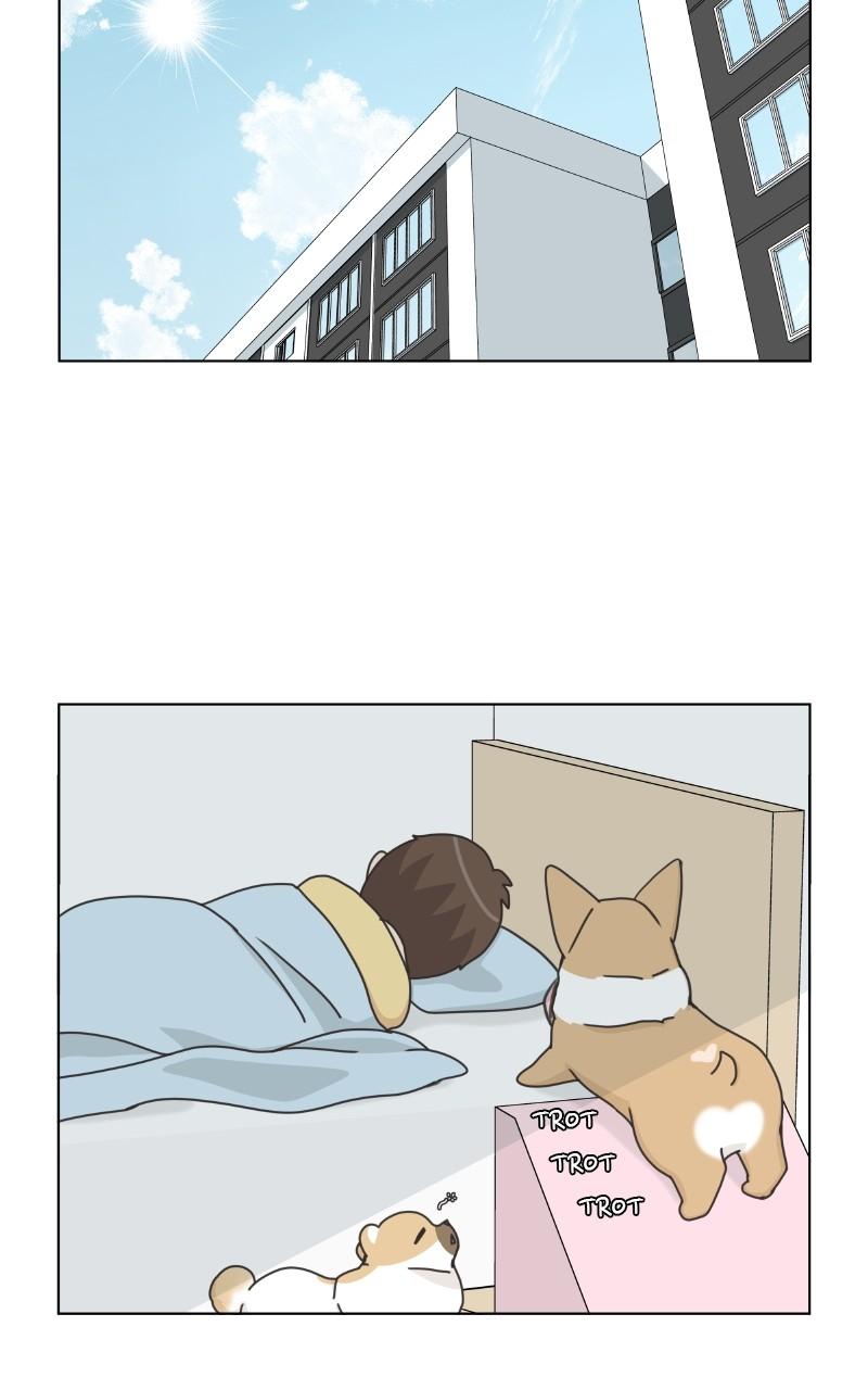The Dog Diaries Chap 97 - Next Chap 98
