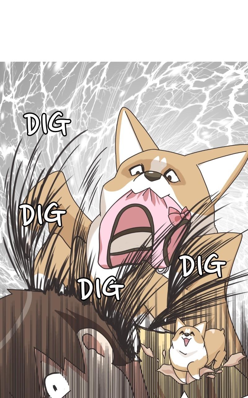 The Dog Diaries Chap 97 - Next Chap 98