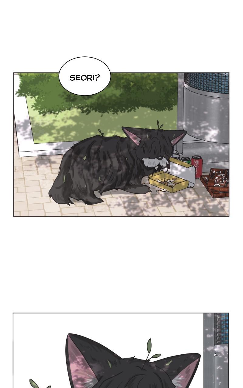 The Dog Diaries Chap 88 - Next Chap 89