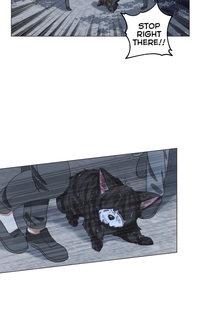 The Dog Diaries Chap 88 - Next Chap 89