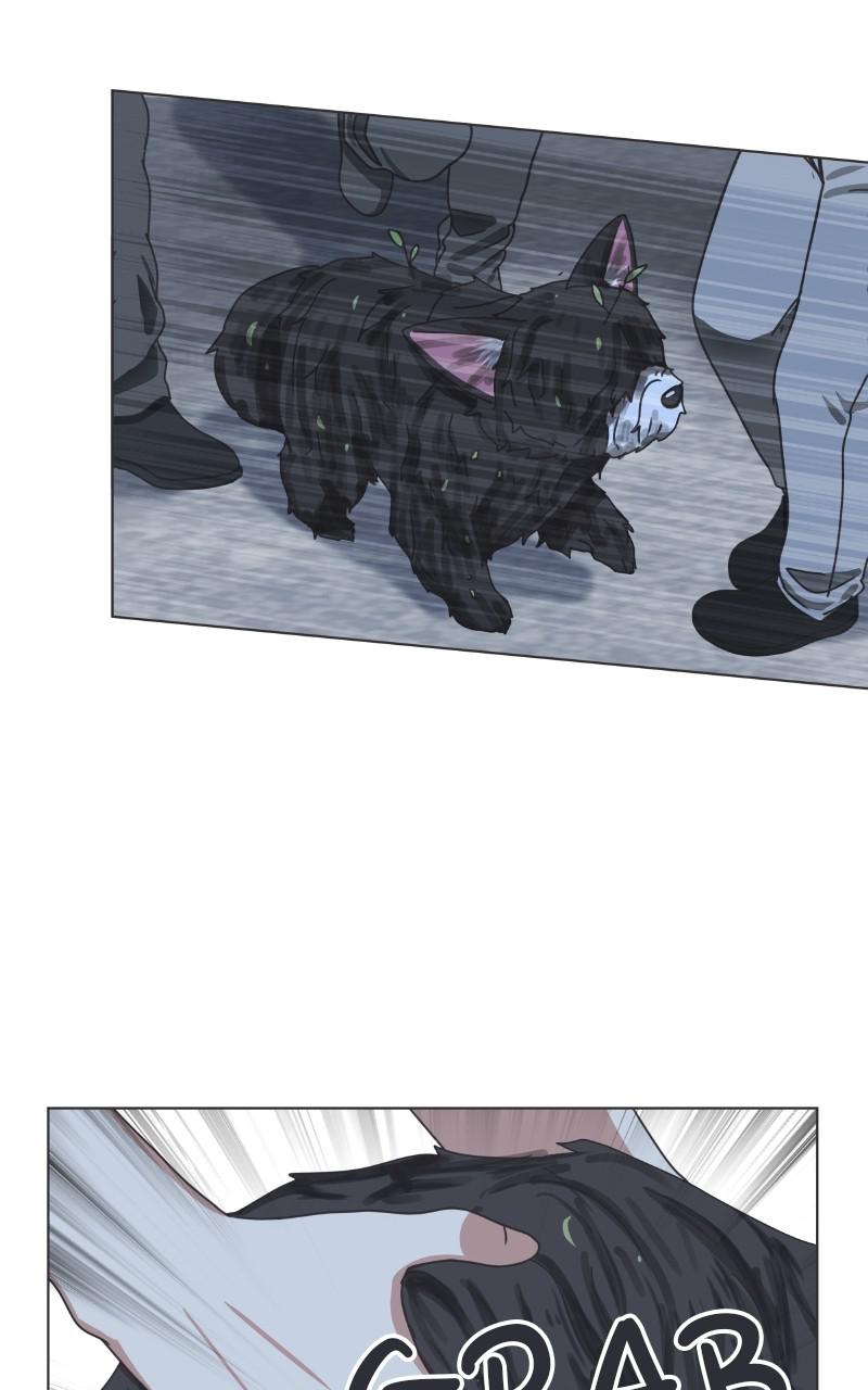 The Dog Diaries Chap 88 - Next Chap 89