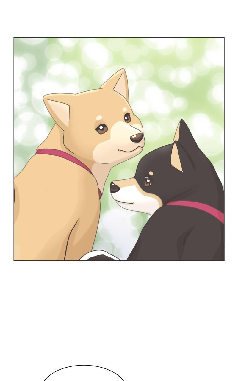 The Dog Diaries Chap 88 - Next Chap 89