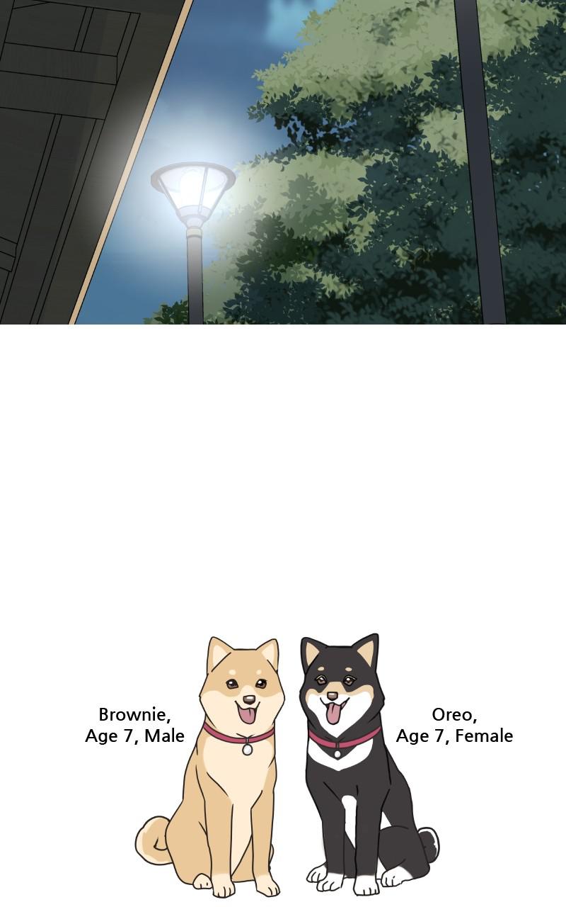 The Dog Diaries Chap 88 - Next Chap 89