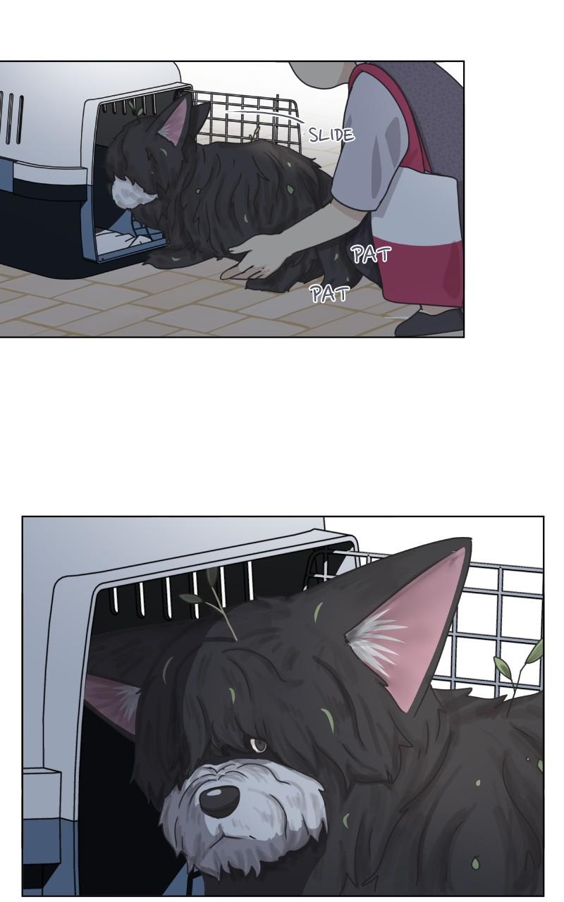 The Dog Diaries Chap 89 - Next Chap 90