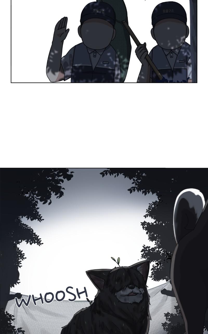 The Dog Diaries Chap 89 - Next Chap 90