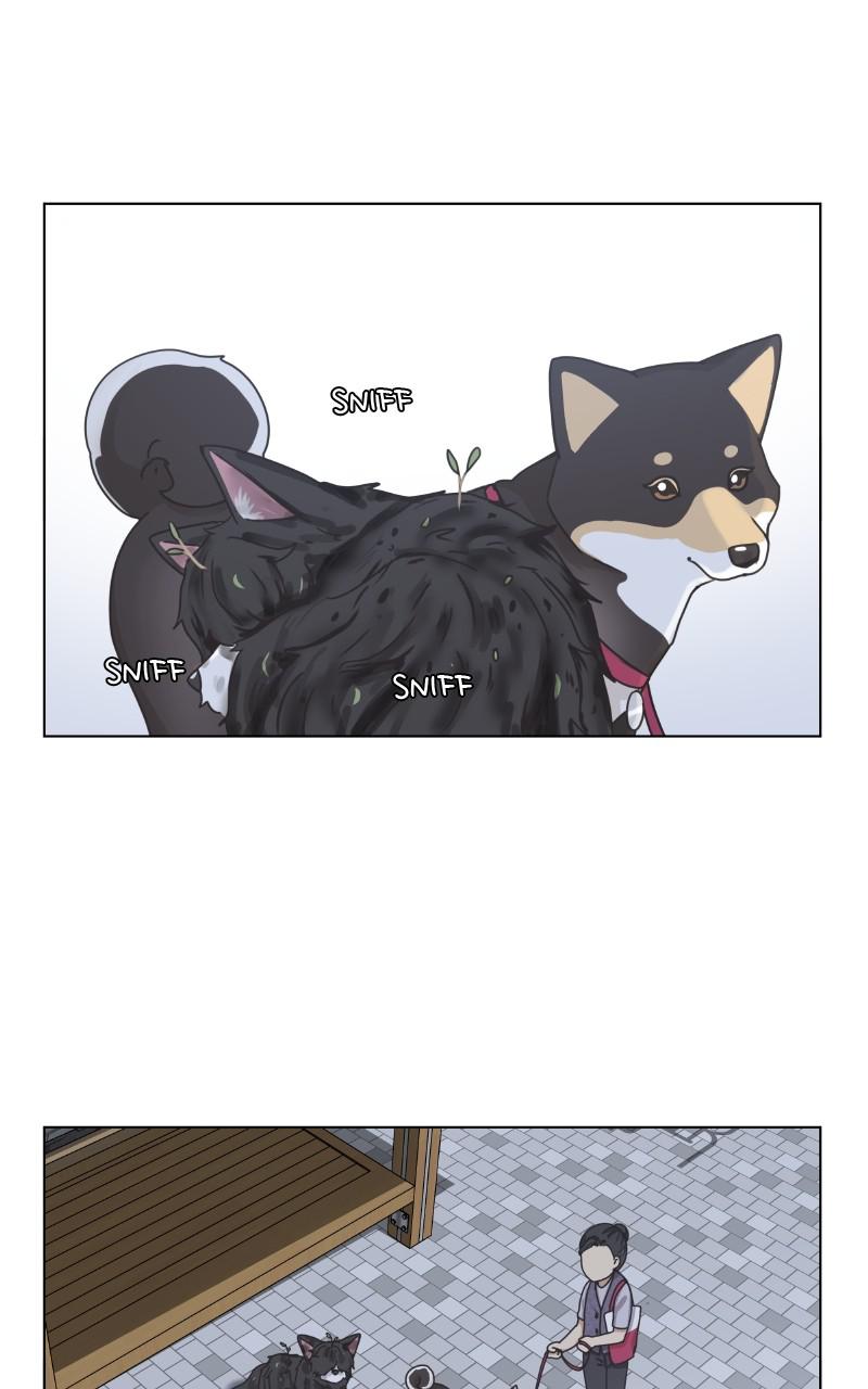 The Dog Diaries Chap 89 - Next Chap 90
