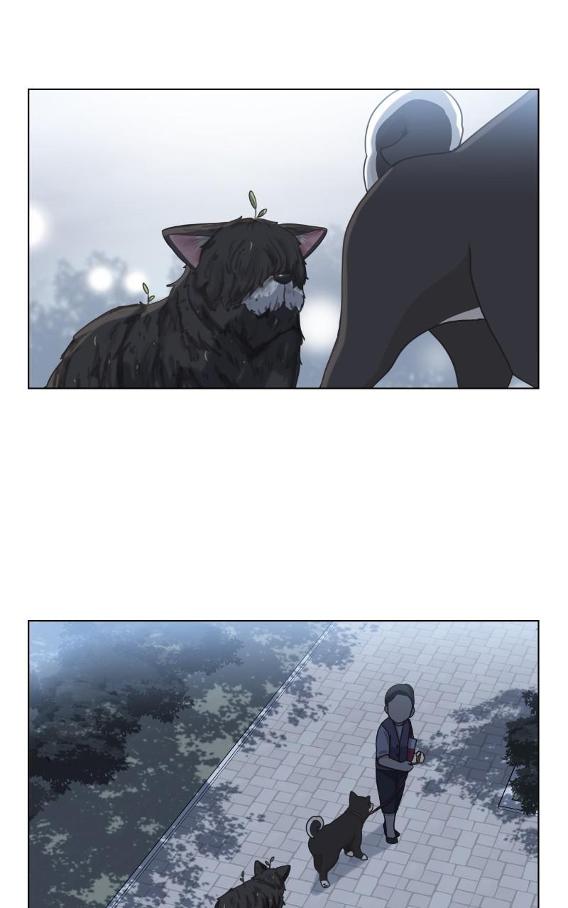The Dog Diaries Chap 89 - Next Chap 90
