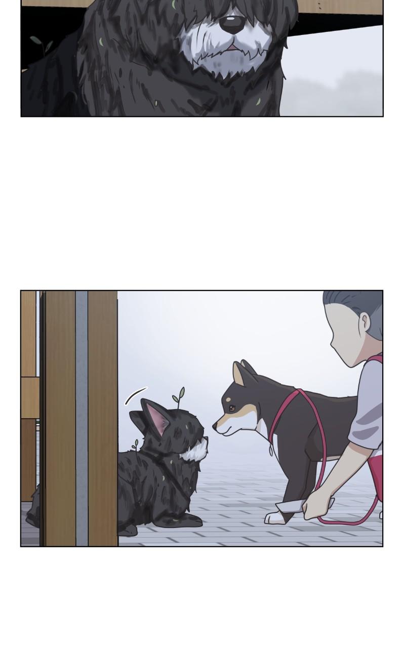 The Dog Diaries Chap 89 - Next Chap 90
