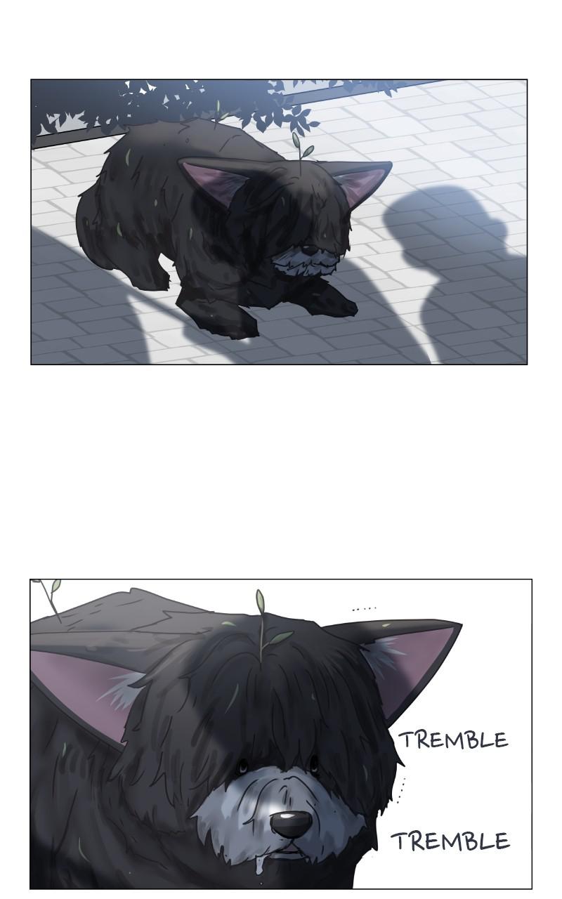 The Dog Diaries Chap 89 - Next Chap 90
