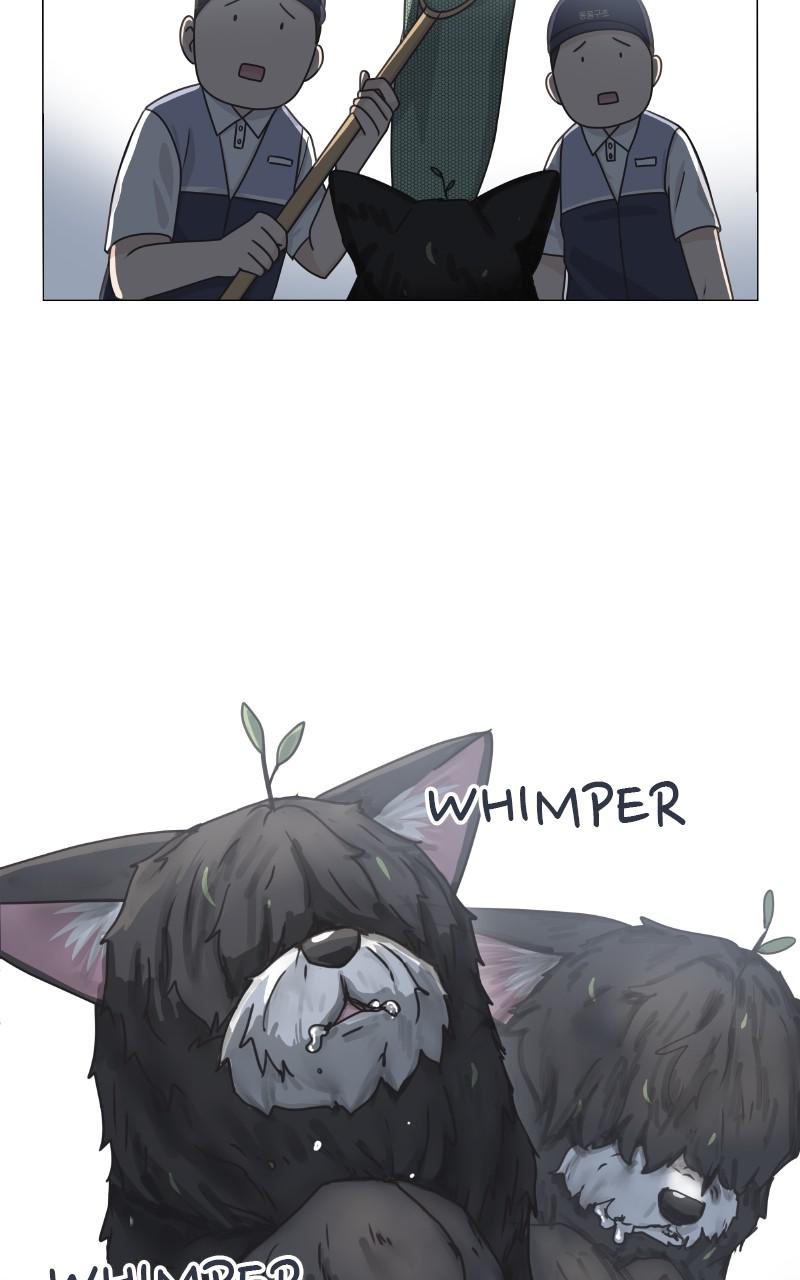 The Dog Diaries Chap 89 - Next Chap 90