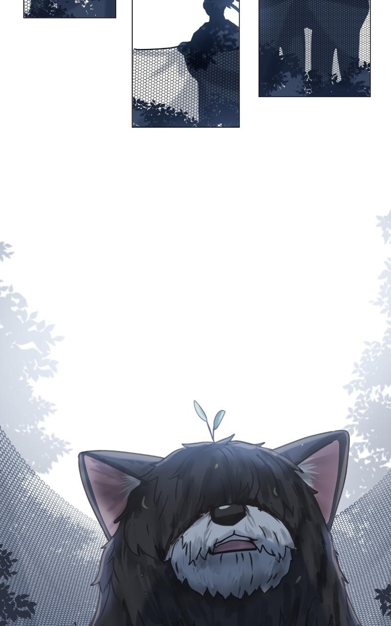 The Dog Diaries Chap 89 - Next Chap 90