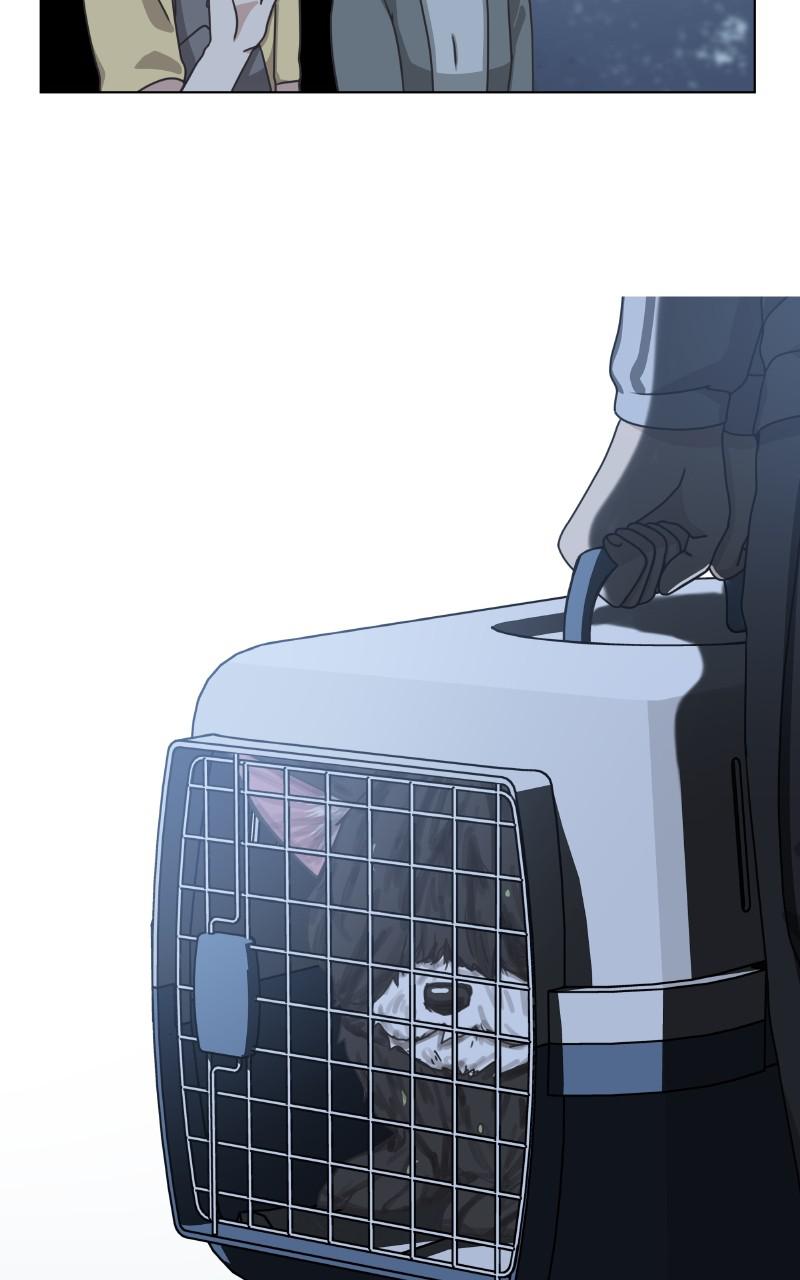 The Dog Diaries Chap 89 - Next Chap 90