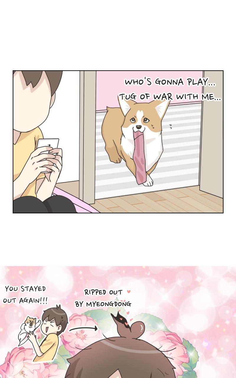 The Dog Diaries Chap 89 - Next Chap 90