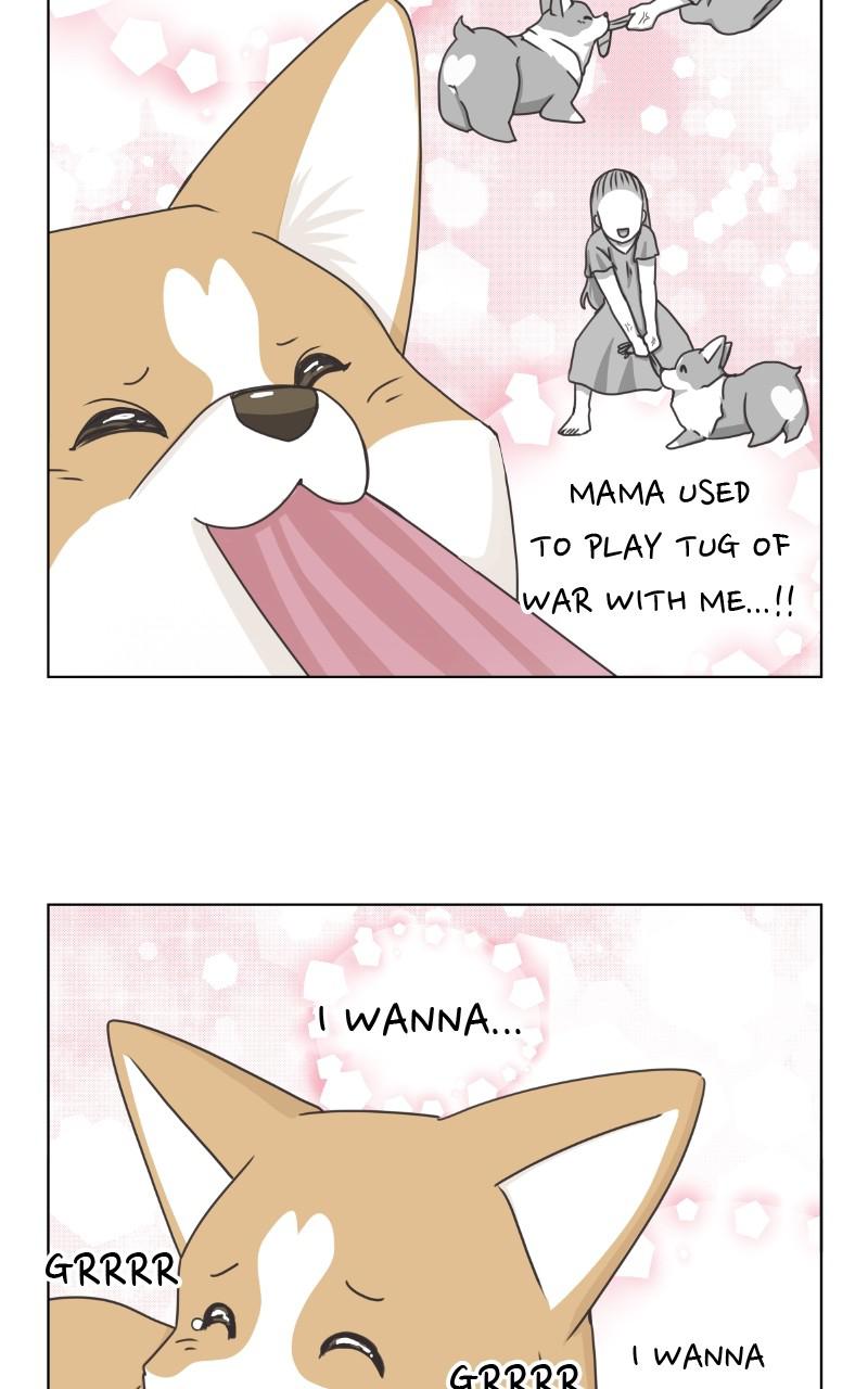 The Dog Diaries Chap 89 - Next Chap 90