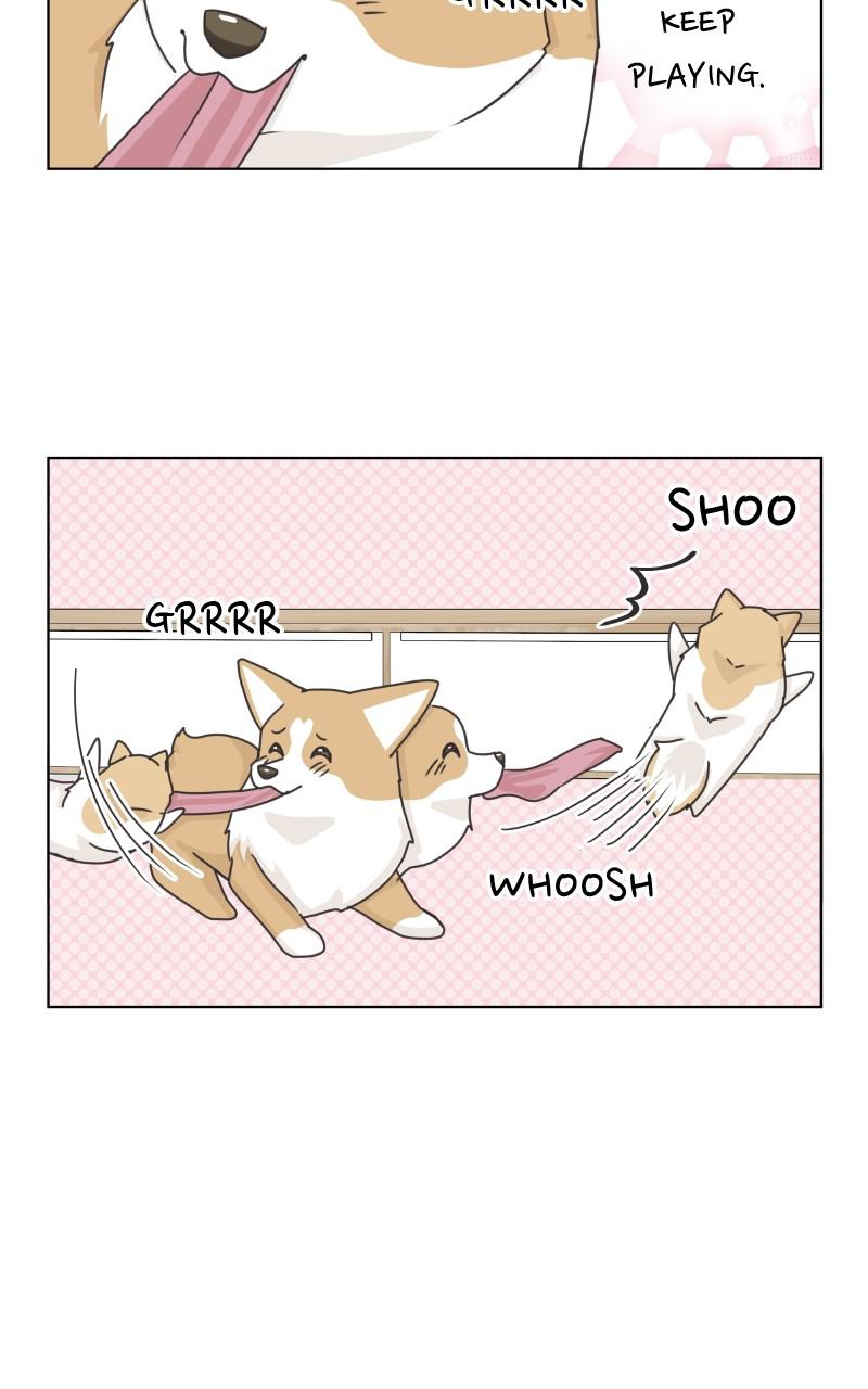 The Dog Diaries Chap 89 - Next Chap 90