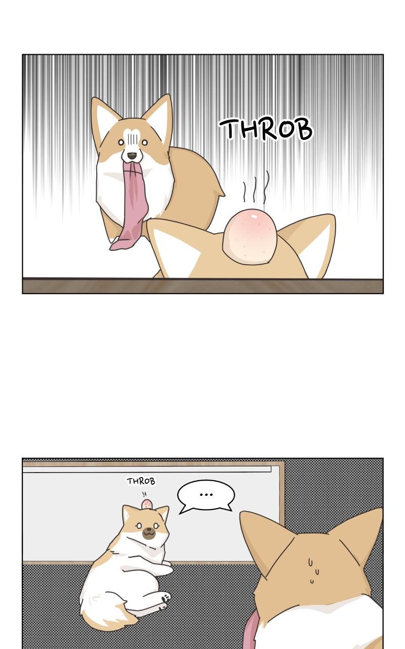 The Dog Diaries Chap 89 - Next Chap 90