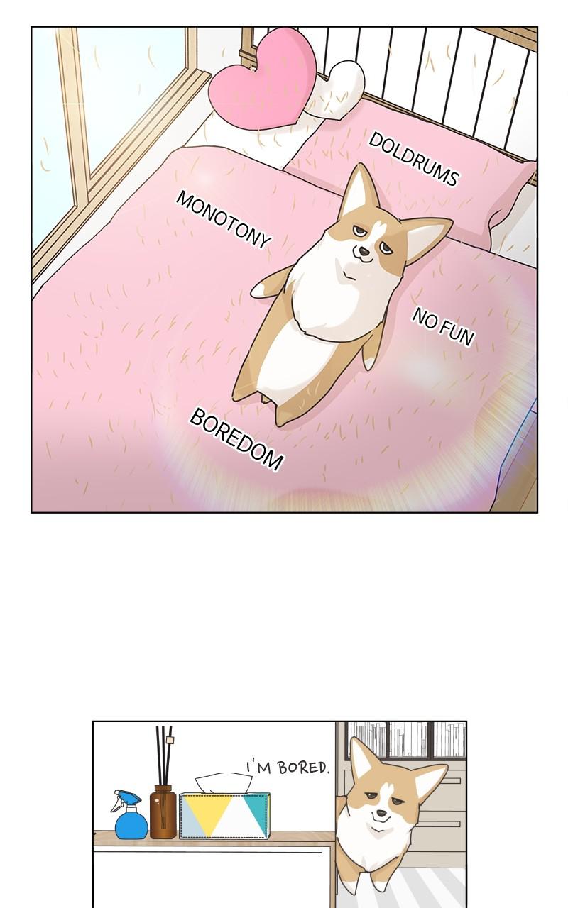 The Dog Diaries Chap 89 - Next Chap 90