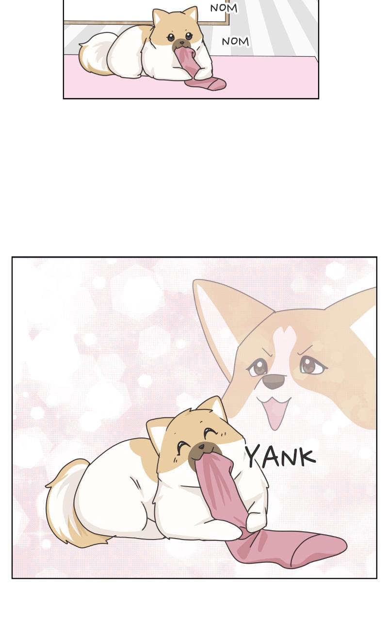 The Dog Diaries Chap 89 - Next Chap 90