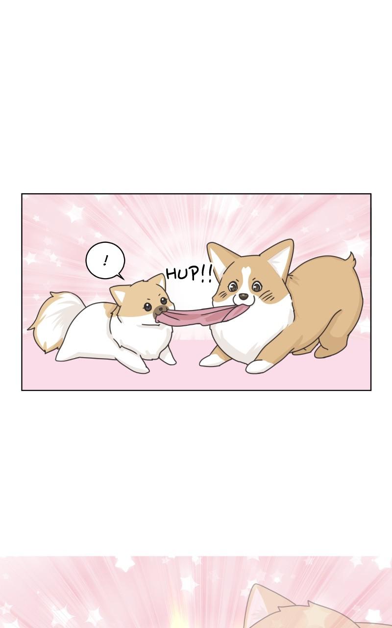 The Dog Diaries Chap 89 - Next Chap 90