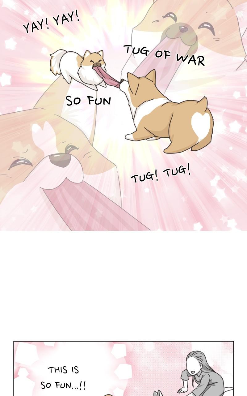 The Dog Diaries Chap 89 - Next Chap 90