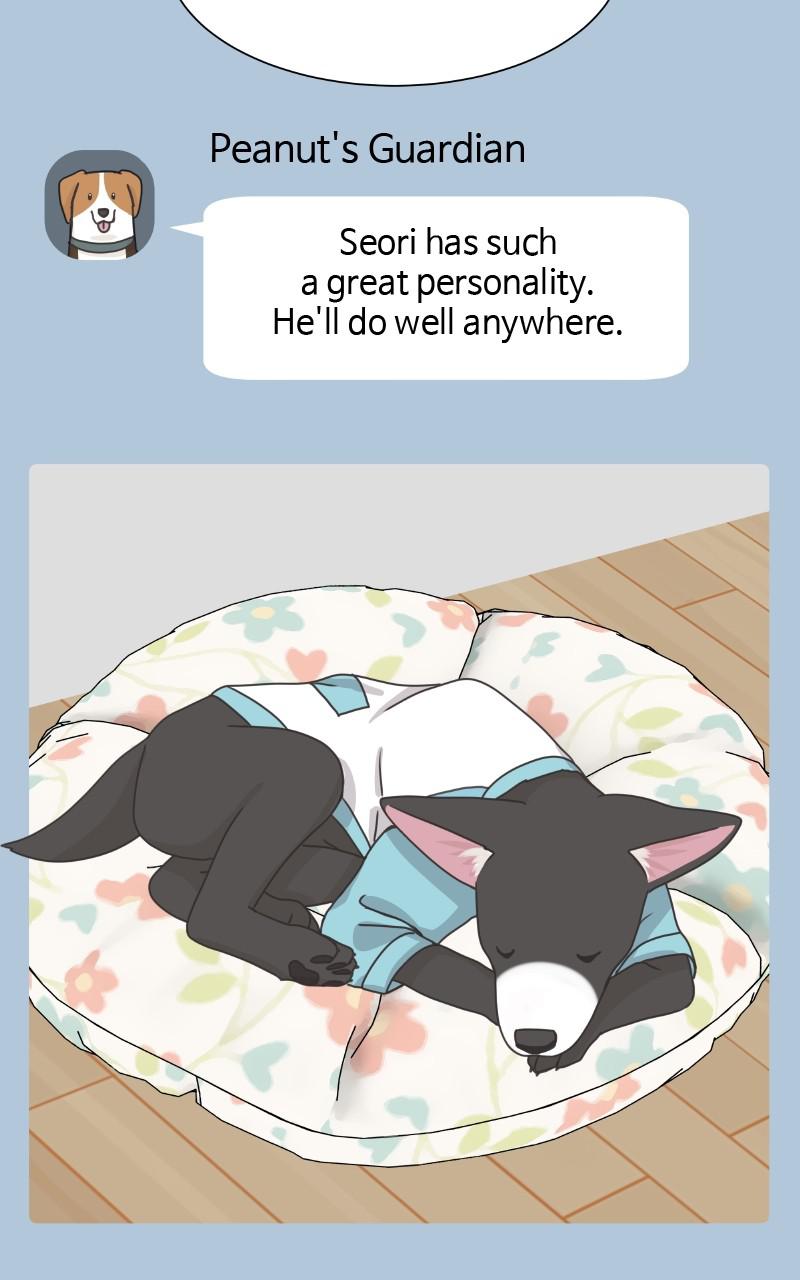 The Dog Diaries Chap 89 - Next Chap 90
