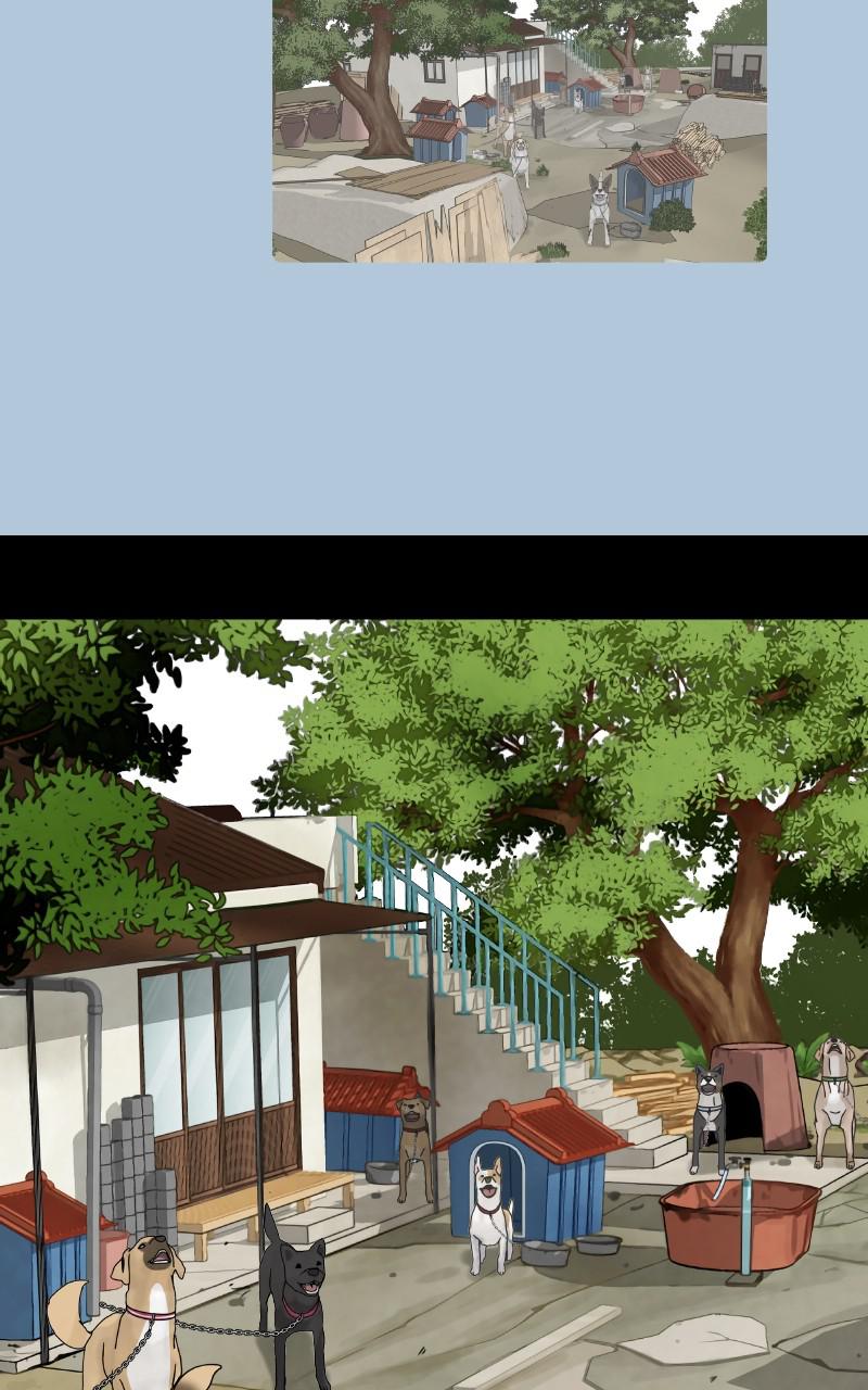 The Dog Diaries Chap 89 - Next Chap 90