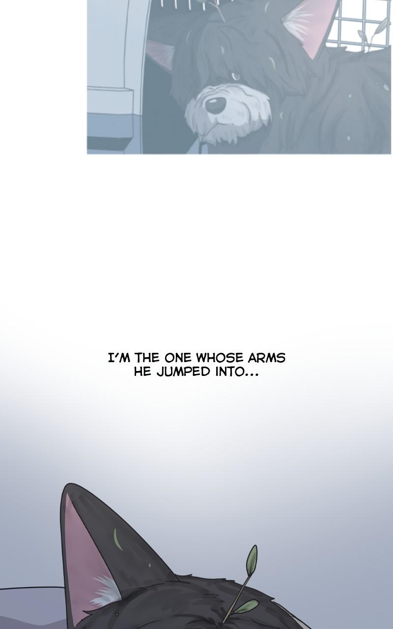 The Dog Diaries Chap 90 - Next Chap 91