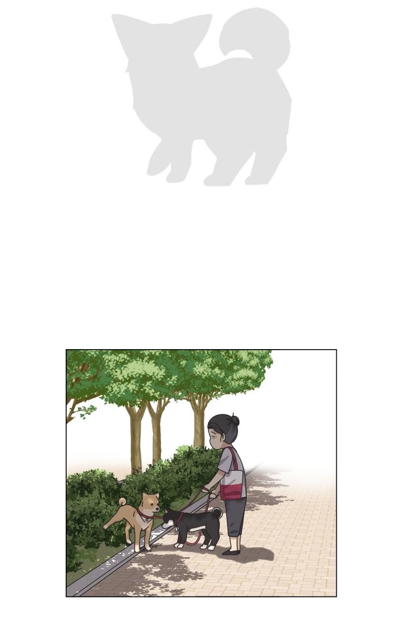 The Dog Diaries Chap 90 - Next Chap 91