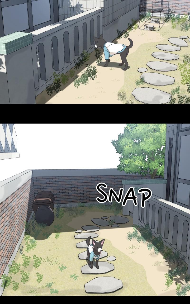 The Dog Diaries Chap 90 - Next Chap 91