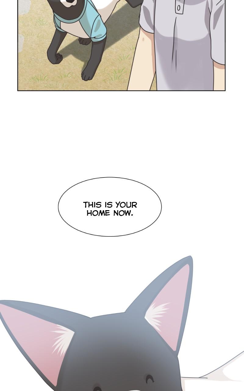The Dog Diaries Chap 90 - Next Chap 91