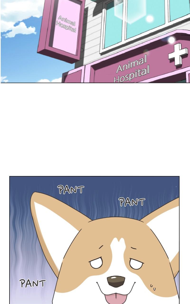 The Dog Diaries Chap 91 - Next Chap 92