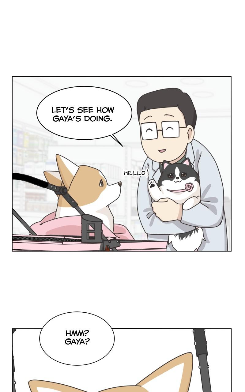 The Dog Diaries Chap 91 - Next Chap 92