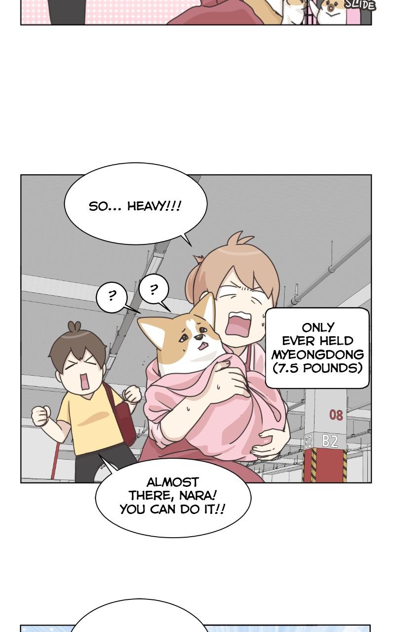 The Dog Diaries Chap 91 - Next Chap 92