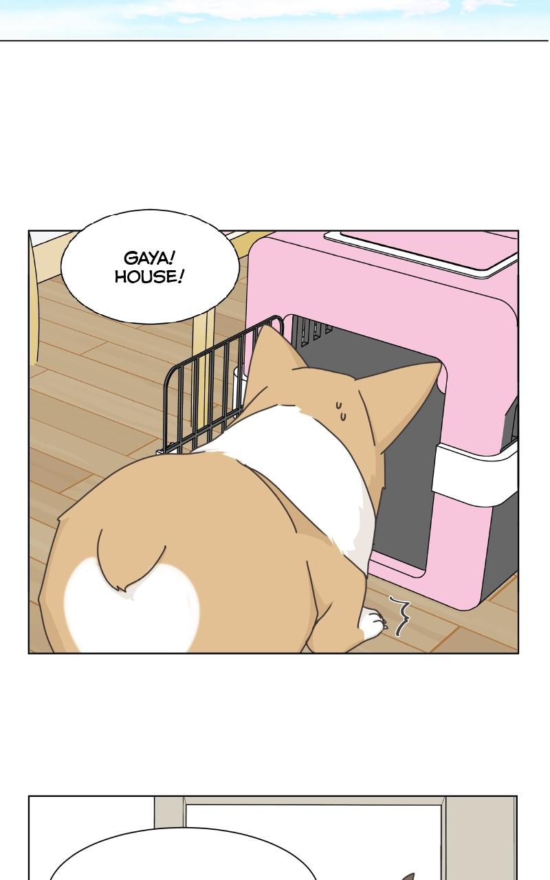 The Dog Diaries Chap 91 - Next Chap 92