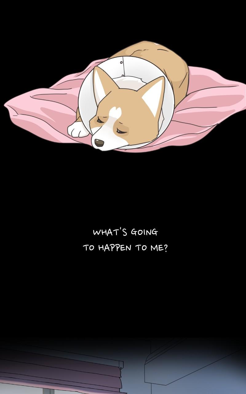 The Dog Diaries Chap 91 - Next Chap 92