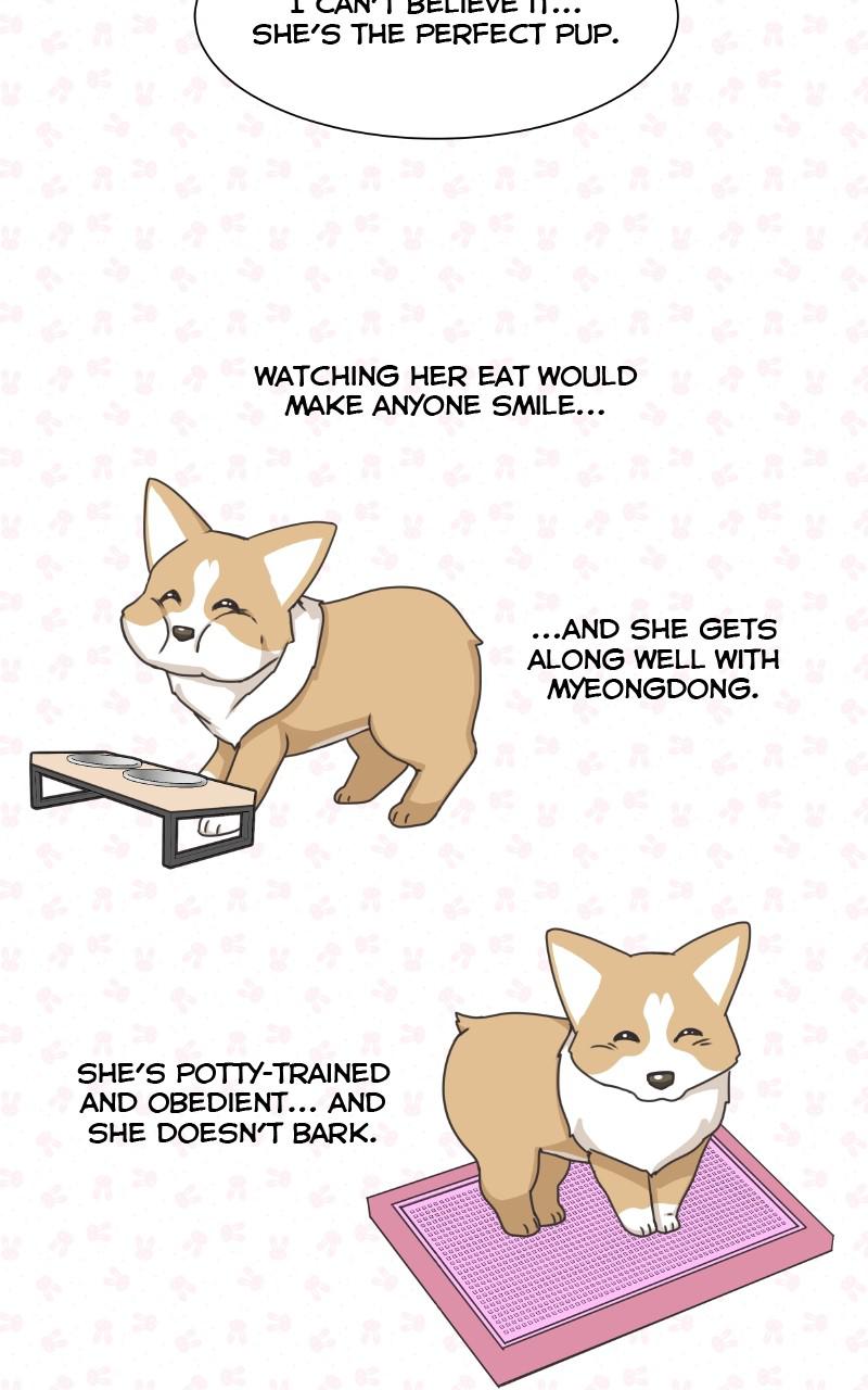 The Dog Diaries Chap 91 - Next Chap 92