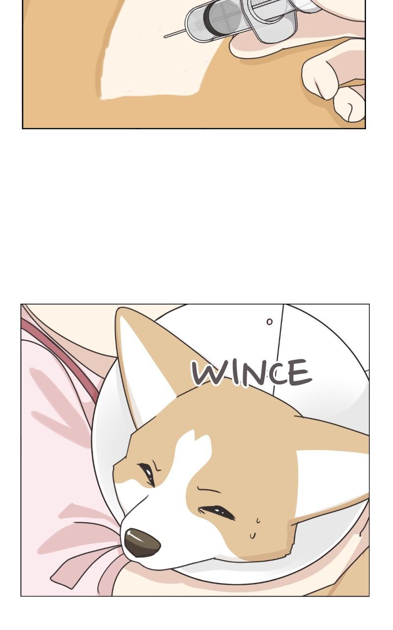 The Dog Diaries Chap 91 - Next Chap 92