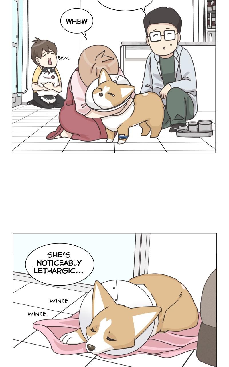 The Dog Diaries Chap 91 - Next Chap 92
