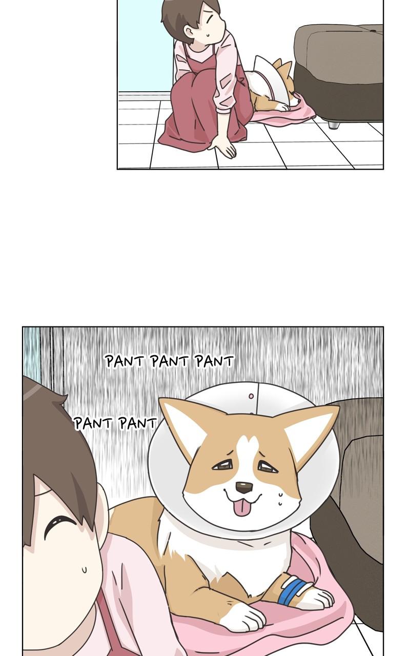 The Dog Diaries Chap 91 - Next Chap 92