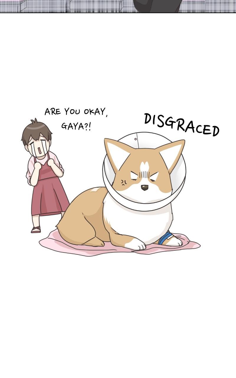 The Dog Diaries Chap 91 - Next Chap 92