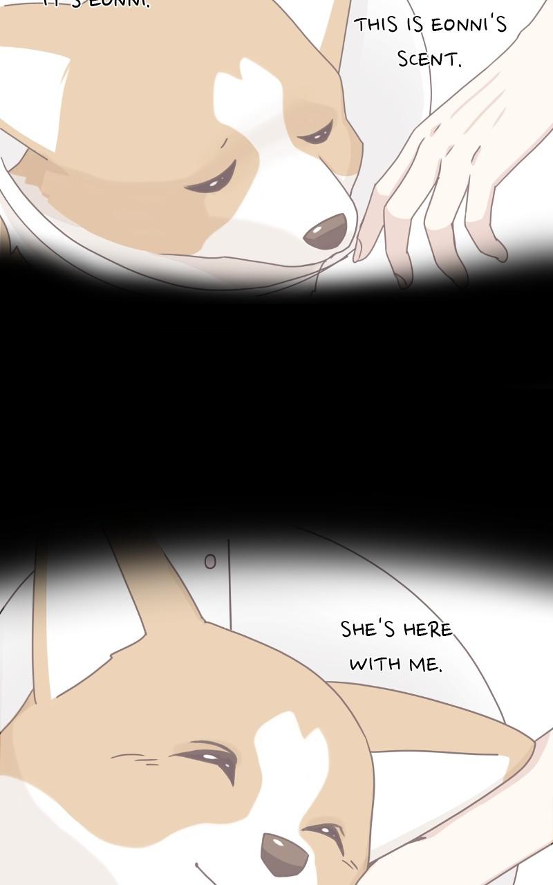 The Dog Diaries Chap 91 - Next Chap 92