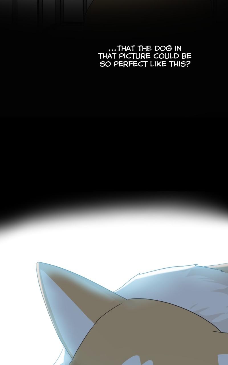 The Dog Diaries Chap 91 - Next Chap 92