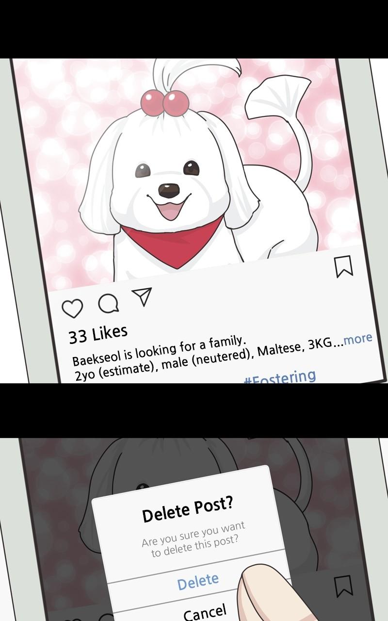 The Dog Diaries Chap 105 - Next Chap 106