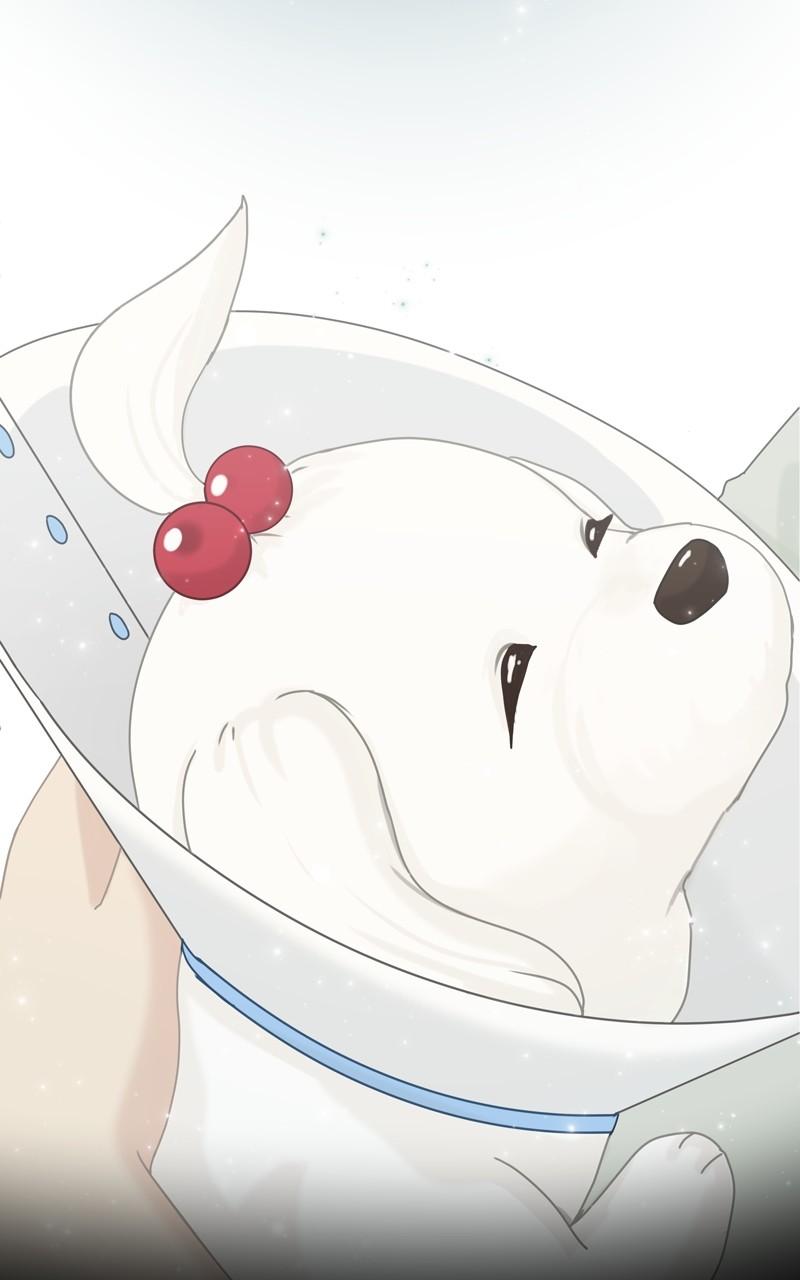 The Dog Diaries Chap 105 - Next Chap 106